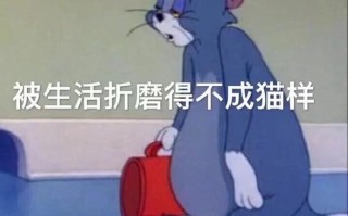 铲子文案沙雕，铲子文案沙雕搞笑