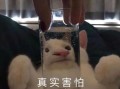 手势搞笑 沙雕文案，手势搞笑 沙雕文案短句