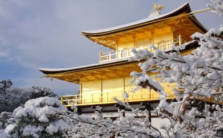 日本东京暑假游玩攻略，日本东京周边游玩攻略